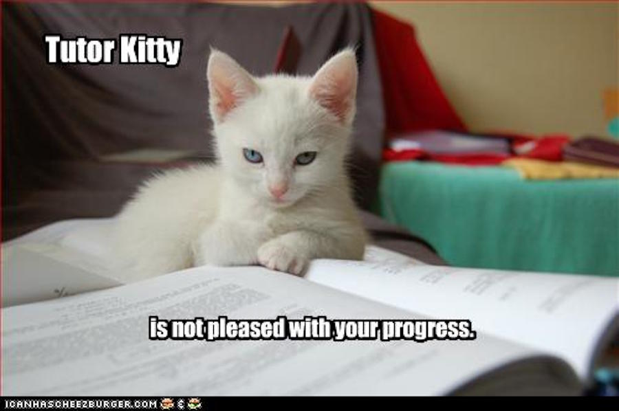 Tutor Kitty Is Judging Your Progress